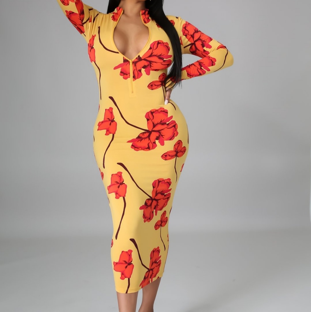 🌼🌼Fall Fling Dress🌼🌼
